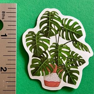 10/$10 Plant Aesthetic Sticker -Waterproof Vinyl Water Bottle Laptop Scrapbook